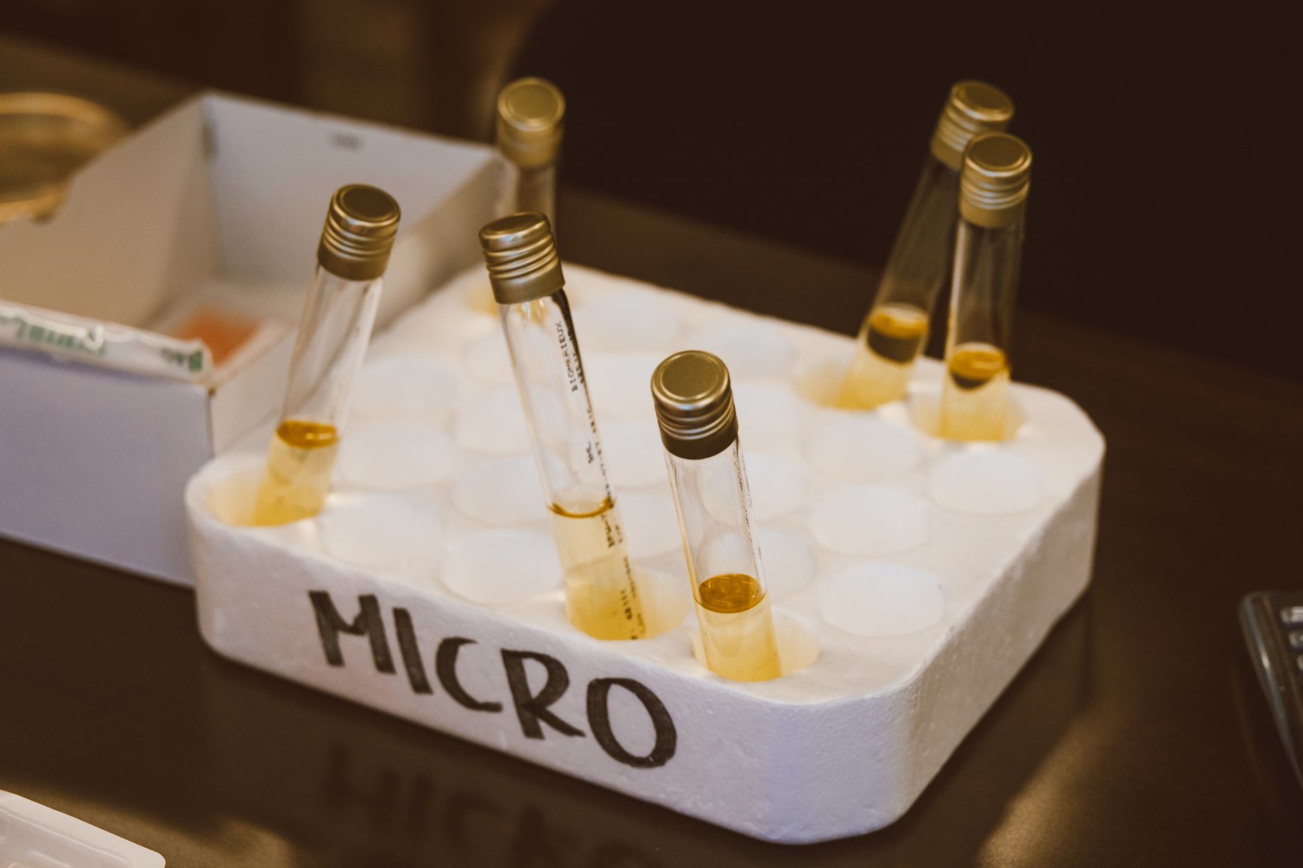 Close-up of laboratory test tubes with samples in a styrofoam tray labeled 'MICRO.'