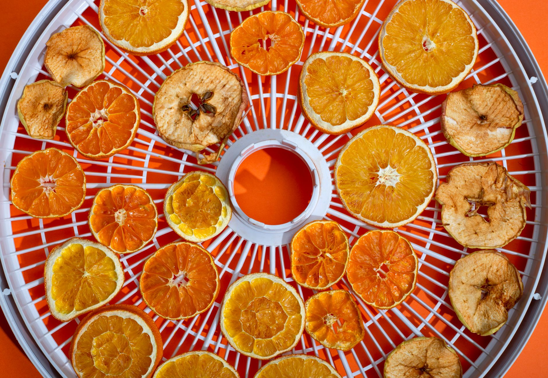 A vibrant display of dehydrated orange and apple slices arranged on a drying tray.